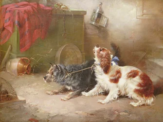 Ein Terrier und ein King Charles Spaniel erschrecken eine Ratte